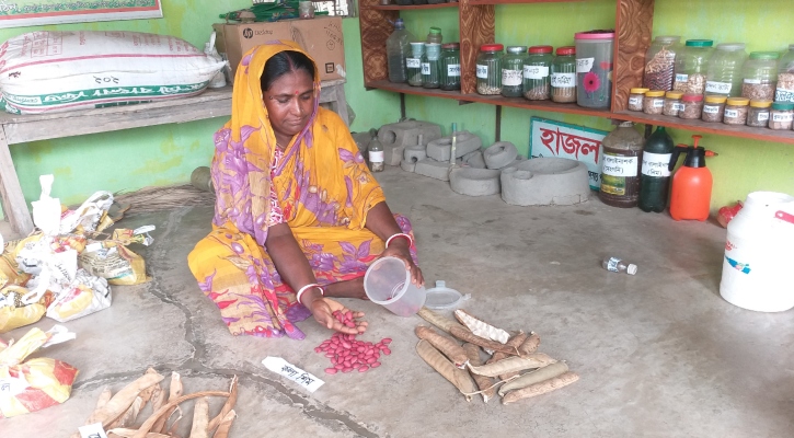 স্থানীয় জাতের বিলুপ্তি রোধে অল্পনার বীজ ভাণ্ডার